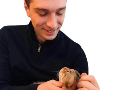 chaton chat marinelepen lepen rn fn bardella jordanbardella gay snob mignon doux toutdoux