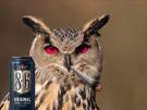 hibou-marlou-hir0e-drogue-alcool-86-biere