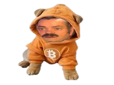 dog bitcoin btc risitas