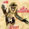 singe-singix-monkey-ape-weakhand-weak-hand-crypto-bourse-boursix-bullish-bearish-bouliche-macaque-chimp