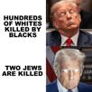 glandilus-jerusalem-trump-sion-zion-puppet-pantin-infiltre-kipa-shalom-mossad-qanon-theory-complotix-scandal