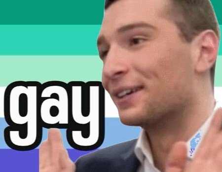 jordanbardella jordan bardella gay lgbt rage fn rn droite beaugosse sourire mains regard drapeau
