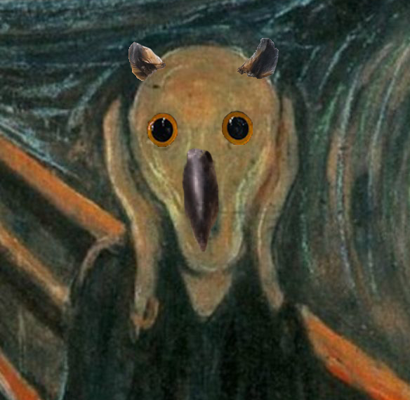 cri hululement hibou hir0e