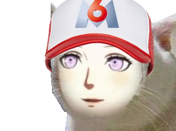 chat casquette kj mignon stupide m6 m6u
