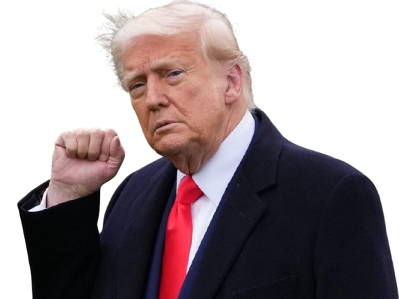 trump poing usa knifos fight donald amerique president maison blanche victoire make america great again