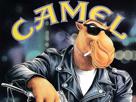 joe-camel-chameau-clopes-blouson-cuir