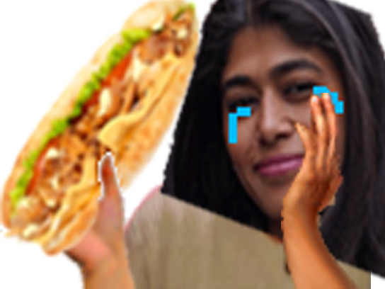 rima hassan cimer chef sandwich israel hamas palestine guerre greta bateau naufrage humanitaire gaza