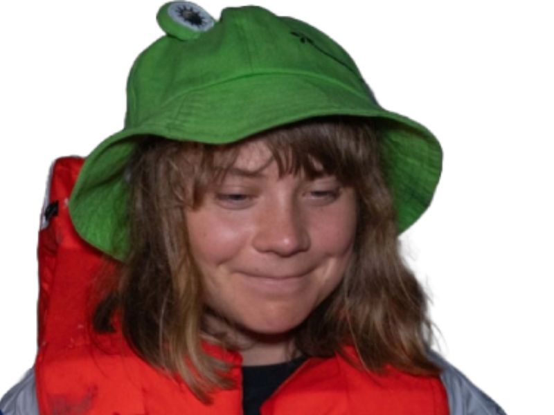 greta thumberg grenouille chapeau nourriture karscher brioche