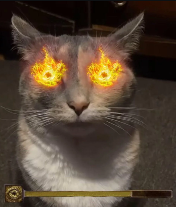 eldenring nightreign folie libra chat cat raiko