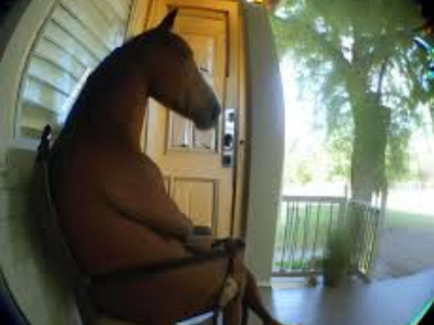 cheval assis chaise judas attendre patience