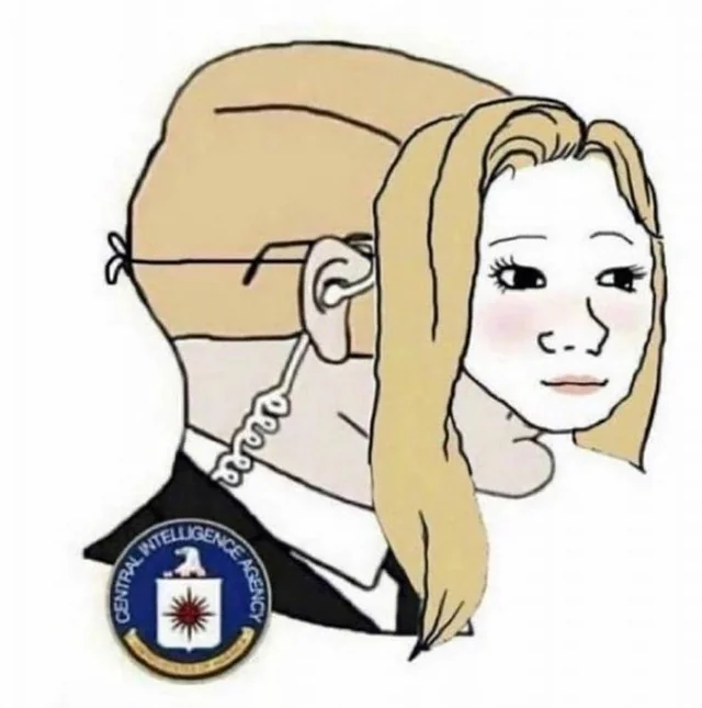 cia fille egirl police agent fake pucix