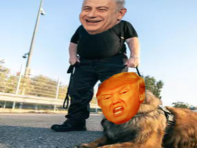 trump usa toutou netanyahu guerre iran 2025 nuke bibi benyamin premier ministre droit defendre nucleaire