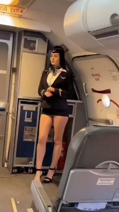 glandilus airbus model plane stewart string boeing female brunette fine tiny delice beauty wife chic