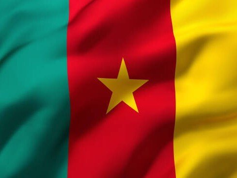 cameroun drapeau etendard embleme