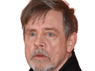 mark-richard-hamill-acteur-americain-homme-sexagenaire-septantaine-septantaire-septuagenaire-vieux-luke-skywalker