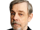 mark-richard-hamill-acteur-americain-homme-sexagenaire-septantaine-septantaire-septuagenaire-vieux-luke-skywalker
