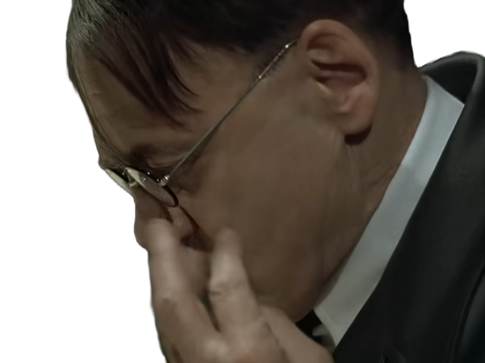 la chute downfall der untergang adolf hitler fuhrer dictateur allemand bruno ganz offensive steiner rage