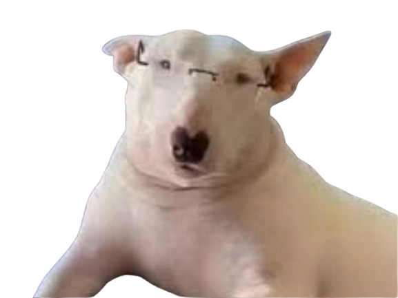 john textor president clown ol olympique lyonnais lyon chien lunettes