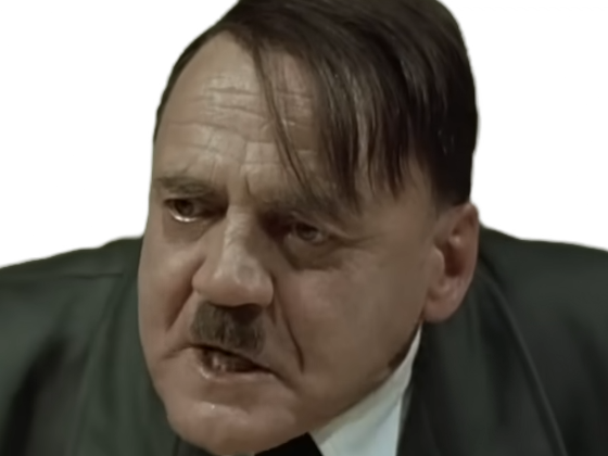 la chute downfall der untergang adolf hitler fuhrer dictateur allemand bruno ganz offensive steiner rage
