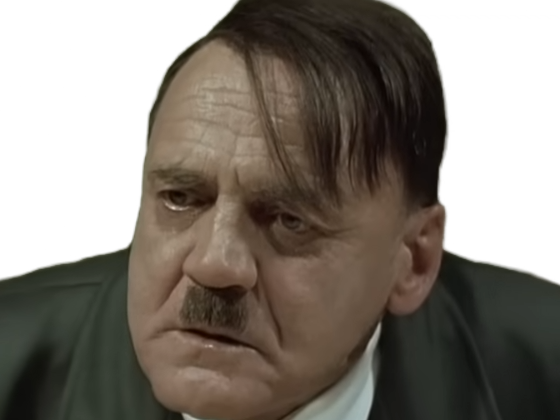 la chute downfall der untergang adolf hitler fuhrer dictateur allemand bruno ganz offensive steiner rage