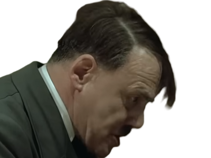 la chute downfall der untergang adolf hitler fuhrer dictateur allemand bruno ganz offensive steiner rage