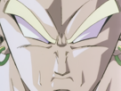 broly-super-saiyen-legendaire-dragon-ball-dbz-oav8-1993-berserker-muscle-fou-brolyseretient-pascanon-anime