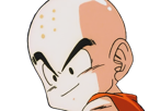 krilin-kuririn-terrien-humain-art-martiaux-ecoledelatortue-meilleurami-chauve-pasdenez-dragon-ball-dbz-anime-manga