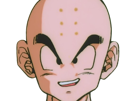 krilin-kuririn-terrien-humain-art-martiaux-ecoledelatortue-meilleurami-chauve-pasdenez-dragon-ball-dbz-anime-manga