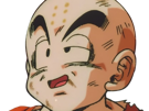 krilin-kuririn-terrien-humain-art-martiaux-ecoledelatortue-meilleurami-chauve-pasdenez-dragon-ball-dbz-anime-manga