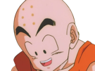 krilin-kuririn-terrien-humain-art-martiaux-ecoledelatortue-meilleurami-chauve-pasdenez-dragon-ball-dbz-anime-manga