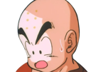 krilin-kuririn-terrien-humain-art-martiaux-ecoledelatortue-meilleurami-chauve-pasdenez-dragon-ball-dbz-anime-manga