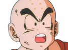 krilin-kuririn-terrien-humain-art-martiaux-ecoledelatortue-meilleurami-chauve-pasdenez-dragon-ball-dbz-anime-manga