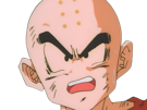 krilin-kuririn-terrien-humain-art-martiaux-ecoledelatortue-meilleurami-chauve-pasdenez-dragon-ball-dbz-anime-manga
