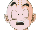 krilin-kuririn-terrien-humain-art-martiaux-ecoledelatortue-meilleurami-chauve-pasdenez-dragon-ball-dbz-anime-manga