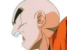 krilin-kuririn-terrien-humain-art-martiaux-ecoledelatortue-meilleurami-chauve-pasdenez-dragon-ball-dbz-anime-manga