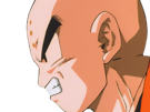krilin-kuririn-terrien-humain-art-martiaux-ecoledelatortue-meilleurami-chauve-pasdenez-dragon-ball-dbz-anime-manga