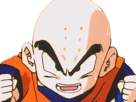 krilin-kuririn-terrien-humain-art-martiaux-ecoledelatortue-meilleurami-chauve-pasdenez-dragon-ball-dbz-anime-manga
