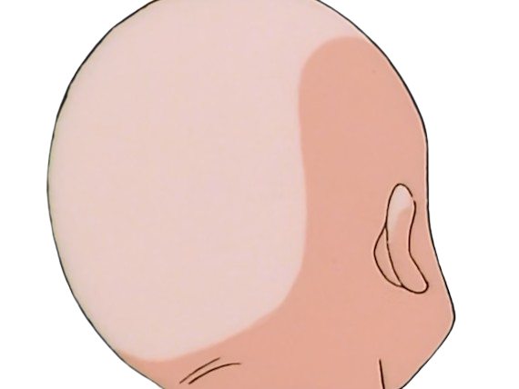 krilin kuririn terrien humain art martiaux ecoledelatortue meilleurami chauve pasdenez dragon ball dbz anime manga