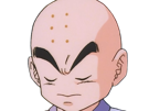 krilin-kuririn-terrien-humain-art-martiaux-ecoledelatortue-meilleurami-chauve-pasdenez-dragon-ball-dbz-anime-manga