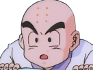 krilin-kuririn-terrien-humain-art-martiaux-ecoledelatortue-meilleurami-chauve-pasdenez-dragon-ball-dbz-anime-manga