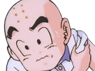 krilin-kuririn-terrien-humain-art-martiaux-ecoledelatortue-meilleurami-chauve-pasdenez-dragon-ball-dbz-anime-manga