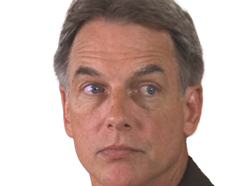 gibbs gibs ncis agent special moupe jethro leroy serie policiere mark harmon