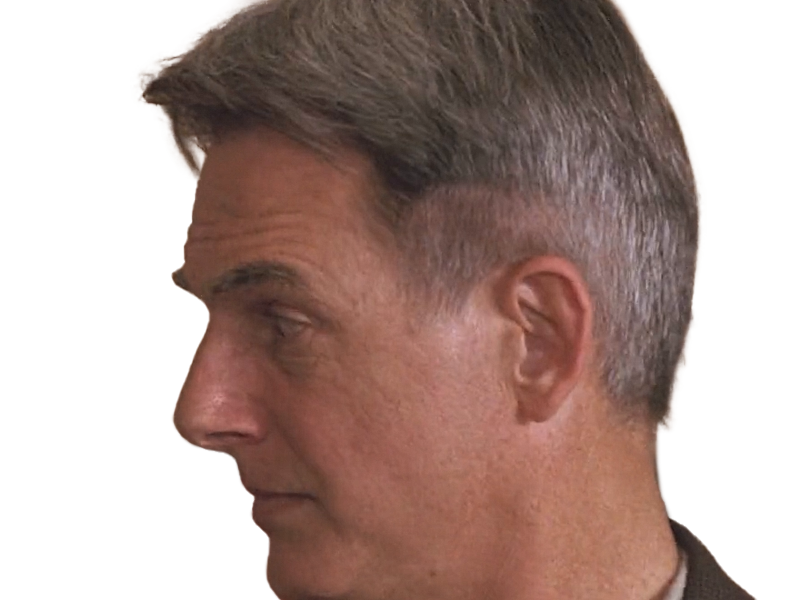 gibbs gibs ncis agent special moupe jethro leroy serie policiere mark harmon