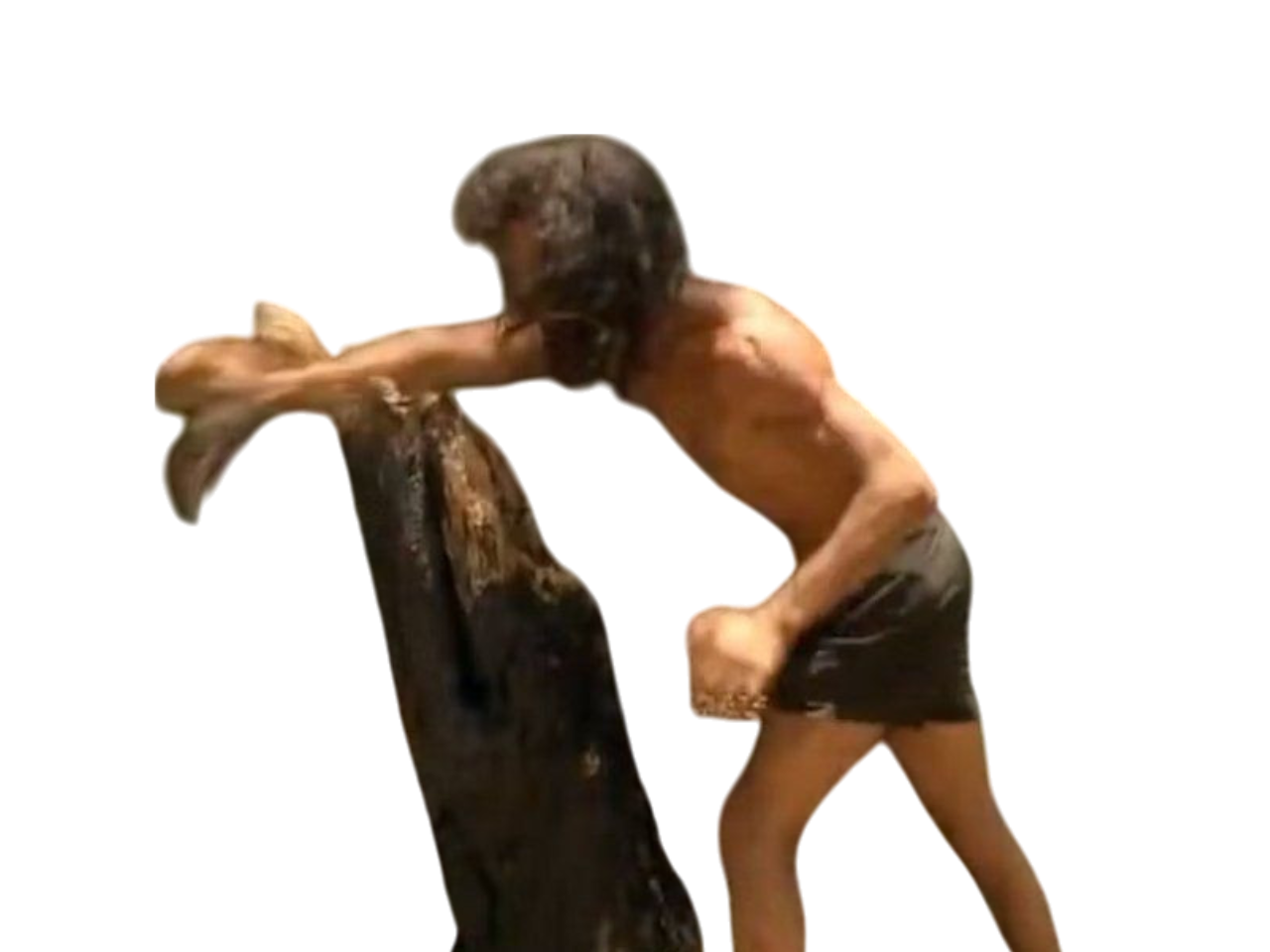 maxime koh lanta la revanche des 4 terres frappe detruit souche arbre mort