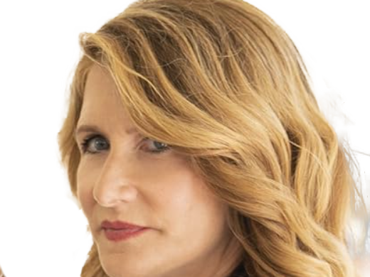 laura elizabeth dern actrice productrice femme americaine quarantenaire quadragenaire quarantaine annees 2010s blonde yeux bleus