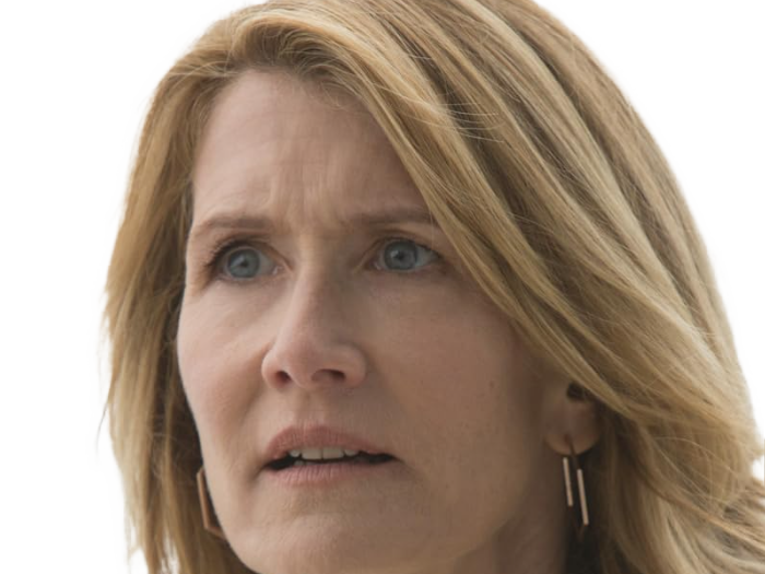 laura elizabeth dern actrice productrice femme americaine quarantenaire quadragenaire quarantaine annees 2010s blonde yeux bleus