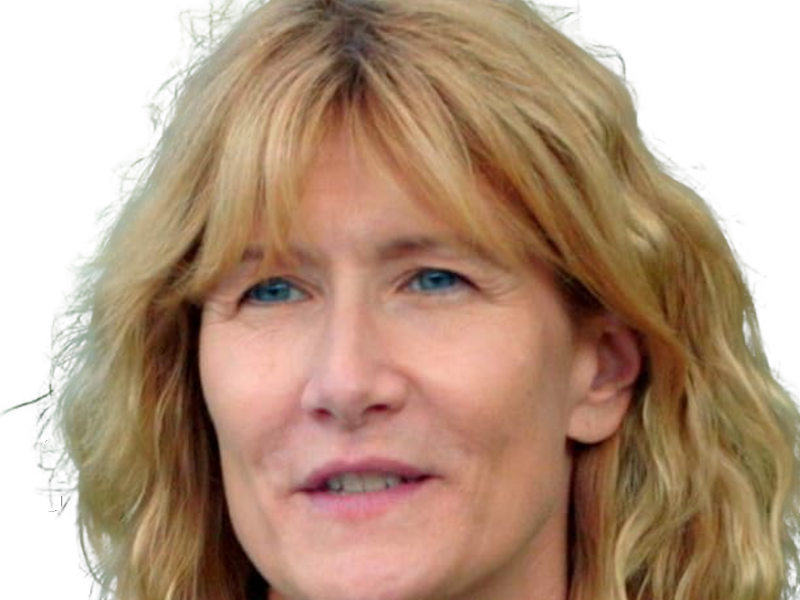 laura elizabeth dern actrice productrice femme americaine quarantenaire quadragenaire quarantaine annees 2010s blonde yeux bleus