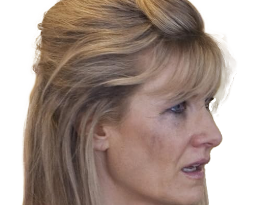 laura elizabeth dern actrice productrice femme americaine quarantenaire quadragenaire quarantaine annees 2010s blonde yeux bleus