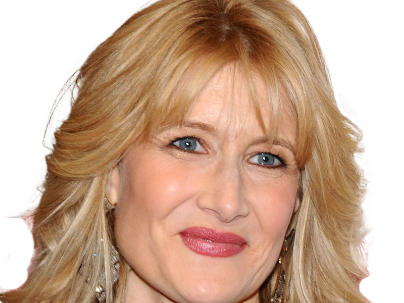 laura elizabeth dern actrice productrice femme americaine quarantenaire quadragenaire quarantaine annees 2010s blonde yeux bleus