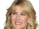 laura-elizabeth-dern-actrice-productrice-femme-americaine-quarantenaire-quadragenaire-quarantaine-annees-2010s-blonde-yeux-bleus